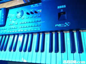 樂韜影音制作,專業(yè)音響器材設(shè)備租賃 音響出租 音樂制作 錄音制作,變魔術(shù)及氣球造型服務(wù),另設(shè)合適的唱歌舞臺,歡迎夾band 唱歌